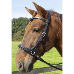 Runa Combi Sidepull Or Bitted Bridle & Reins